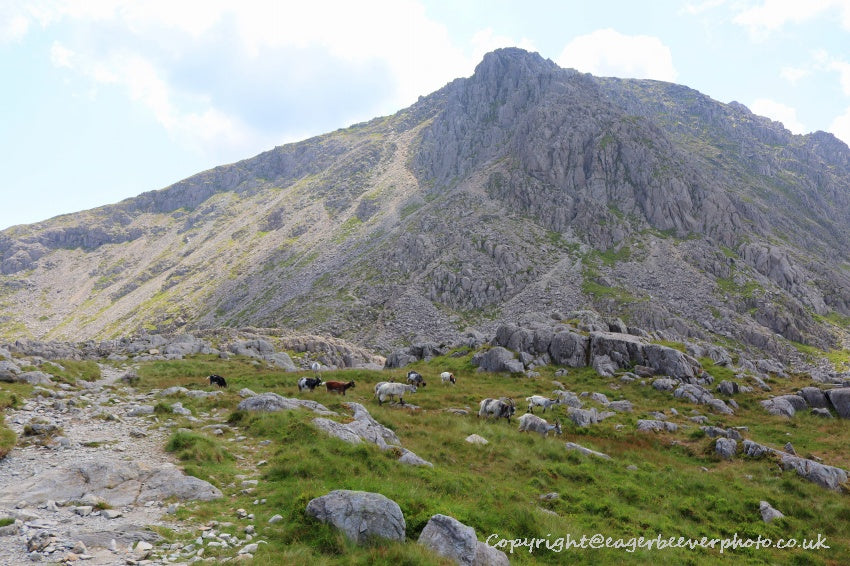 Tryfan Glyder Fach Glyder Fawr Wales Landscape Art by Chris Beever 69