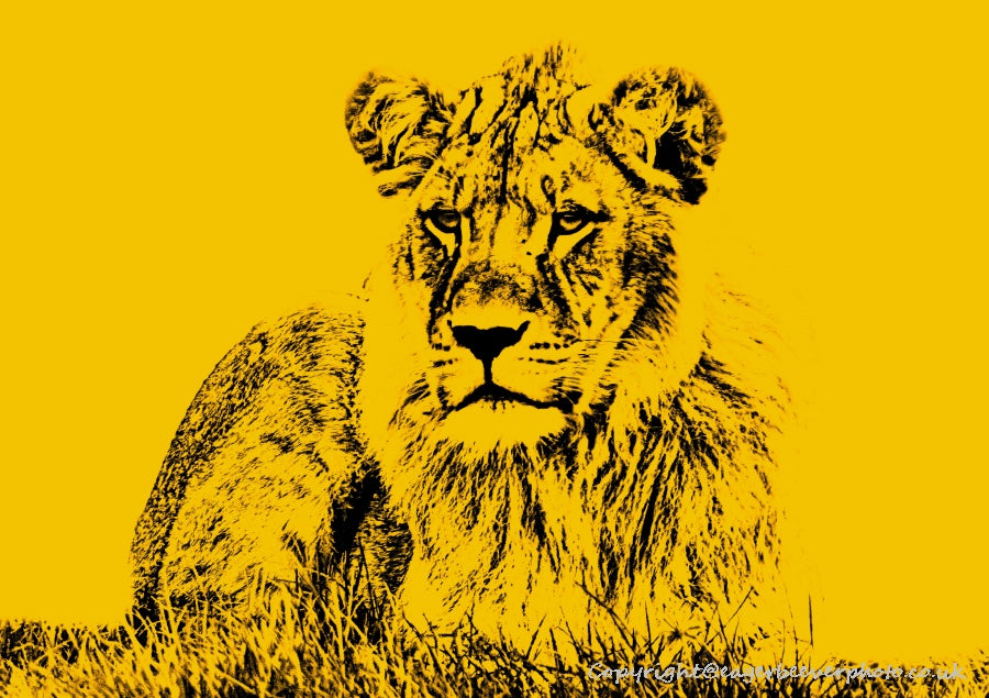 World Wildlife Pop Art by UK Artist & Photographer Chris Beever 6