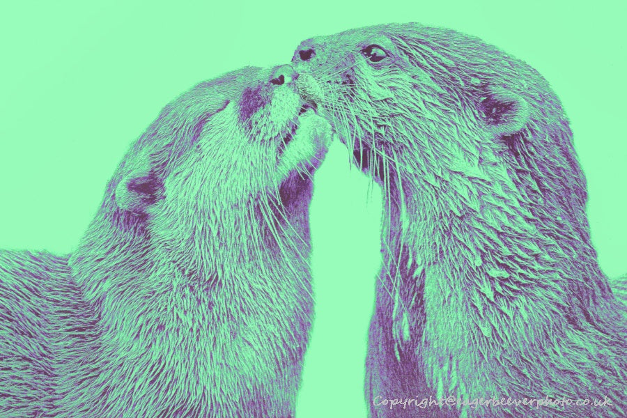 World Wildlife Pop Art by UK Artist & Photographer Chris Beever 7