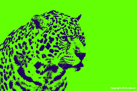 Green jaguar World Wildlife Art or Pop Art by Wigan UK Artist and Photographer Christopher Beever Available as a small to XXXL wildlife Canvas Print, Wildlife Framed Print, Wildlife print Cushion, Wildlife print Poster, Wildlife print sofa throw, wildlife print blanket, wildlife fine art print poster, wildlife print bedding & more.