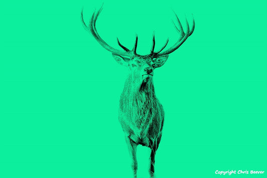 lime green red deer stag World Wildlife Art or Pop Art by Wigan UK Artist and Photographer Christopher Beever Available as a small to XXXL wildlife Canvas Print, Wildlife Framed Print, Wildlife print Cushion, Wildlife print Poster, Wildlife print sofa throw, wildlife print blanket, wildlife fine art print poster, wildlife print bedding & more.