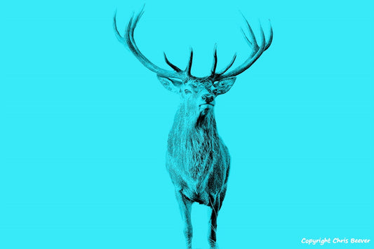 sky blue red deer stag World Wildlife Art or Pop Art by Wigan UK Artist and Photographer Christopher Beever Available as a small to XXXL wildlife Canvas Print, Wildlife Framed Print, Wildlife print Cushion, Wildlife print Poster, Wildlife print sofa throw, wildlife print blanket, wildlife fine art print poster, wildlife print bedding & more.