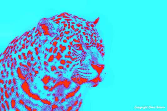 blue and red jaguar World Wildlife Art or Pop Art by Wigan UK Artist and Photographer Christopher Beever Available as a small to XXXL wildlife Canvas Print, Wildlife Framed Print, Wildlife print Cushion, Wildlife print Poster, Wildlife print sofa throw, wildlife print blanket, wildlife fine art print poster, wildlife print bedding & more.