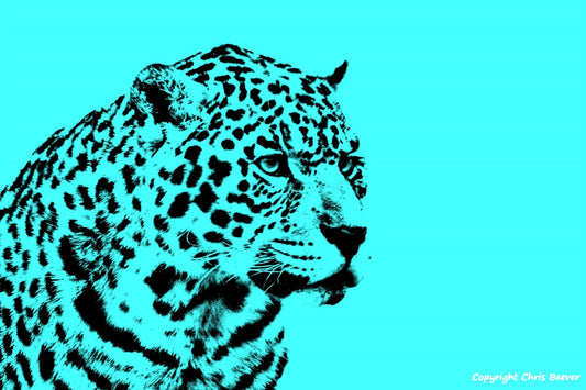 sky blue jaguar World Wildlife Art or Pop Art by Wigan UK Artist and Photographer Christopher Beever Available as a small to XXXL wildlife Canvas Print, Wildlife Framed Print, Wildlife print Cushion, Wildlife print Poster, Wildlife print sofa throw, wildlife print blanket, wildlife fine art print poster, wildlife print bedding & more.