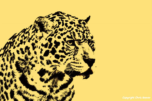 yellow jaguar World Wildlife Art or Pop Art by Wigan UK Artist and Photographer Christopher Beever Available as a small to XXXL wildlife Canvas Print, Wildlife Framed Print, Wildlife print Cushion, Wildlife print Poster, Wildlife print sofa throw, wildlife print blanket, wildlife fine art print poster, wildlife print bedding & more.