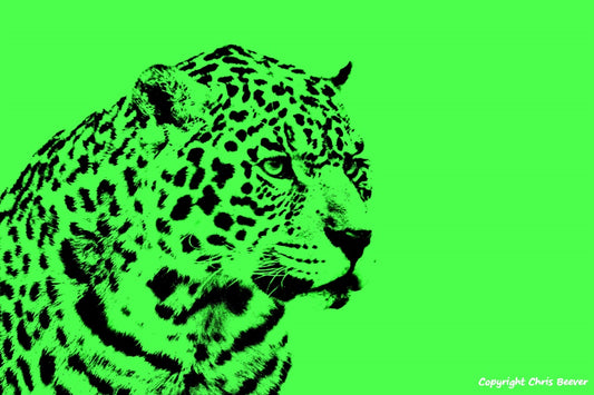 neon green jaguar World Wildlife Art or Pop Art by Wigan UK Artist and Photographer Christopher Beever Available as a small to XXXL wildlife Canvas Print, Wildlife Framed Print, Wildlife print Cushion, Wildlife print Poster, Wildlife print sofa throw, wildlife print blanket, wildlife fine art print poster, wildlife print bedding & more.