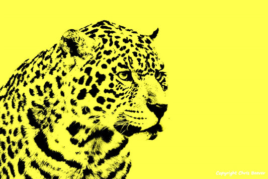 bright yellow African Leopard World Wildlife Art or Pop Art by Wigan UK Artist and Photographer Christopher Beever Available as a small to XXXL wildlife Canvas Print, Wildlife Framed Print, Wildlife print Cushion, Wildlife print Poster, Wildlife print sofa throw, wildlife print blanket, wildlife fine art print poster, wildlife print bedding & more.
