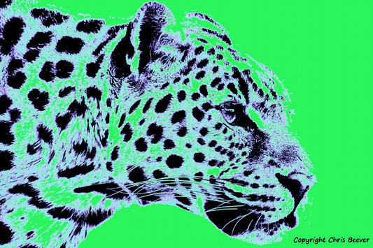 neon green amur leopard World Wildlife Art or Pop Art by Wigan UK Artist and Photographer Christopher Beever Available as a small to XXXL wildlife Canvas Print, Wildlife Framed Print, Wildlife print Cushion, Wildlife print Poster, Wildlife print sofa throw, wildlife print blanket, wildlife fine art print poster, wildlife print bedding & more.