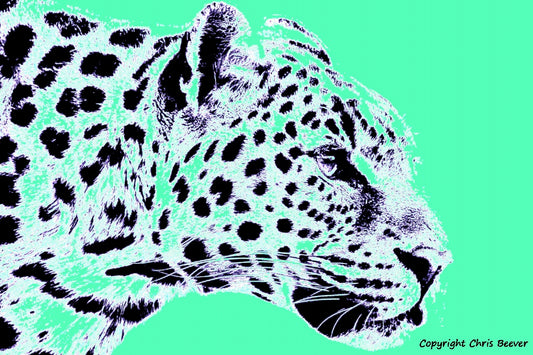mint green amur leopard World Wildlife Art or Pop Art by Wigan UK Artist and Photographer Christopher Beever Available as a small to XXXL wildlife Canvas Print, Wildlife Framed Print, Wildlife print Cushion, Wildlife print Poster, Wildlife print sofa throw, wildlife print blanket, wildlife fine art print poster, wildlife print bedding & more.
