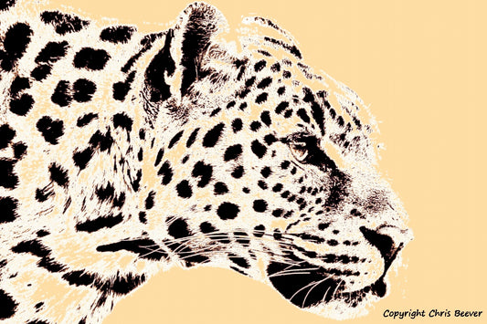 peach amur leopard World Wildlife Art or Pop Art by Wigan UK Artist and Photographer Christopher Beever Available as a small to XXXL wildlife Canvas Print, Wildlife Framed Print, Wildlife print Cushion, Wildlife print Poster, Wildlife print sofa throw, wildlife print blanket, wildlife fine art print poster, wildlife print bedding & more.