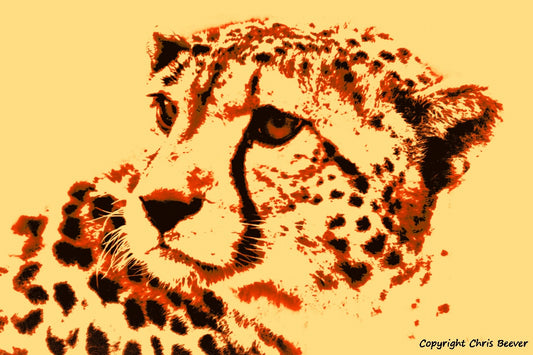 yellow cheetah big cat World Wildlife Art or Pop Art by Wigan UK Artist and Photographer Christopher Beever Available as a small to XXXL wildlife Canvas Print, Wildlife Framed Print, Wildlife print Cushion, Wildlife print Poster, Wildlife print sofa throw, wildlife print blanket, wildlife fine art print poster, wildlife print bedding & more.