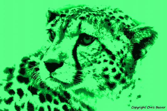 neon green cheetah big cat World Wildlife Art or Pop Art by Wigan UK Artist and Photographer Christopher Beever Available as a small to XXXL wildlife Canvas Print, Wildlife Framed Print, Wildlife print Cushion, Wildlife print Poster, Wildlife print sofa throw, wildlife print blanket, wildlife fine art print poster, wildlife print bedding & more.