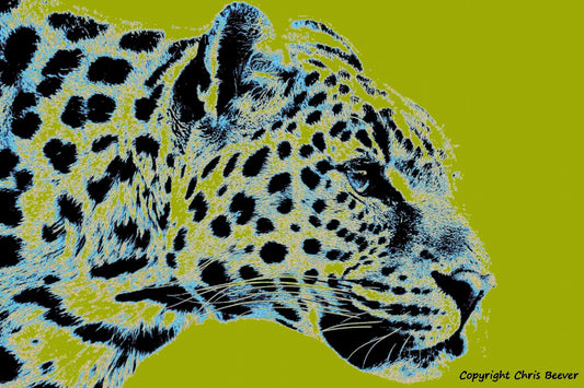 Olive green Amur leopard World Wildlife Art or Pop Art by Wigan UK Artist and Photographer Christopher Beever Available as a small to XXXL wildlife Canvas Print, Wildlife Framed Print, Wildlife print Cushion, Wildlife print Poster, Wildlife print sofa throw, wildlife print blanket, wildlife fine art print poster, wildlife print bedding & more.