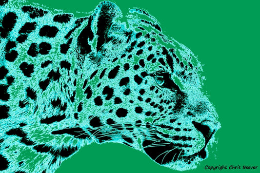 green amur leopard World Wildlife Art or Pop Art by Wigan UK Artist and Photographer Christopher Beever Available as a small to XXXL wildlife Canvas Print, Wildlife Framed Print, Wildlife print Cushion, Wildlife print Poster, Wildlife print sofa throw, wildlife print blanket, wildlife fine art print poster, wildlife print bedding & more.