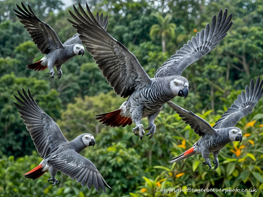 African Wildlife Art by UK Artist Christopher Beever 43