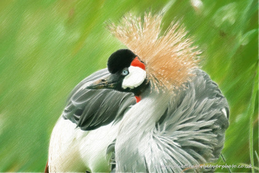 African Wildlife Art by UK Artist Christopher Beever 33