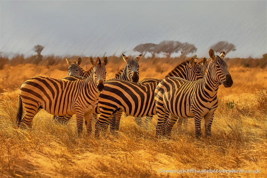 African Wildlife Art by UK Artist Christopher Beever 6