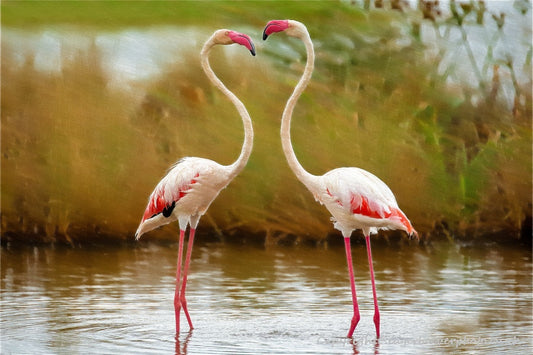 African Wildlife Art by UK Artist Christopher Beever 8