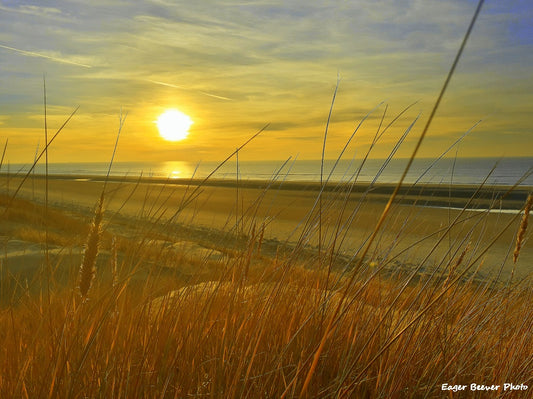 Ainsdale and Formby Beach UK Landscape Art by Chris Beever 4