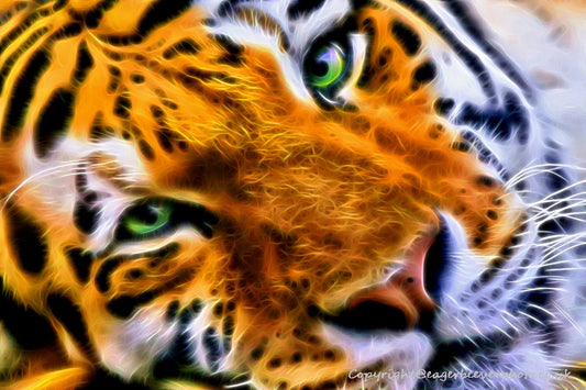 Big Cat Wildlife Art by UK Artist christopher Beever 38