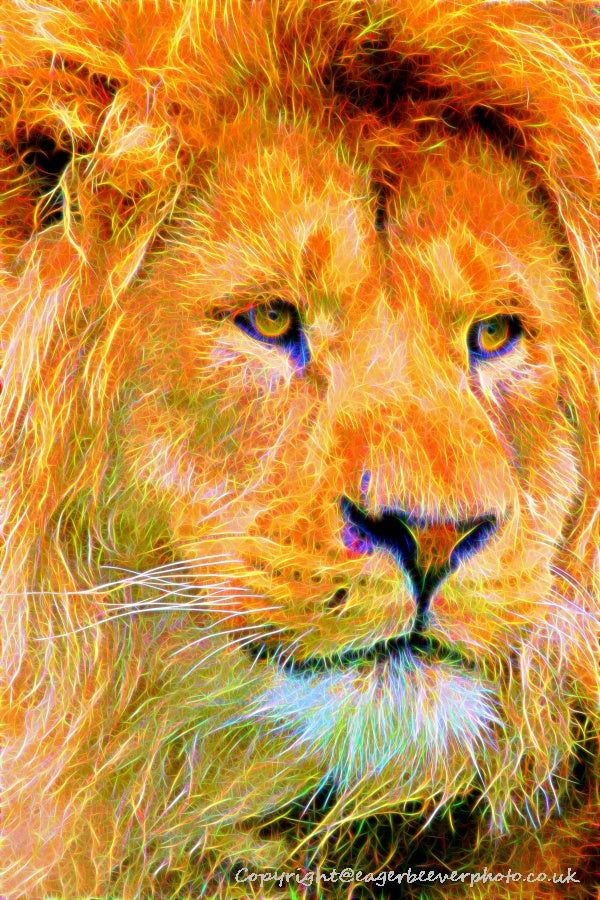 Big Cat Wildlife Art by UK Artist christopher Beever 49