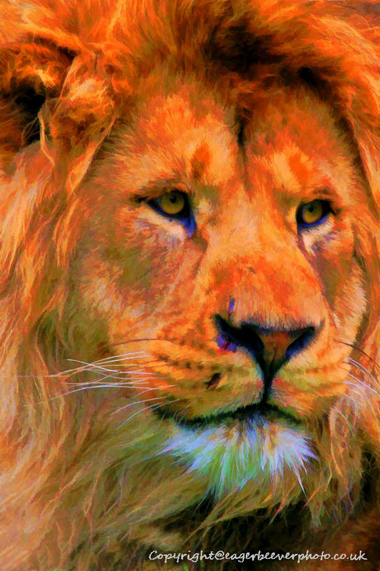 Big Cat Wildlife Art by UK Artist christopher Beever 63