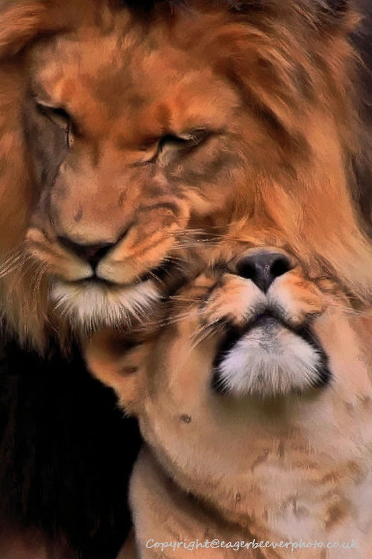 Big Cat Wildlife Art by UK Artist christopher Beever 69