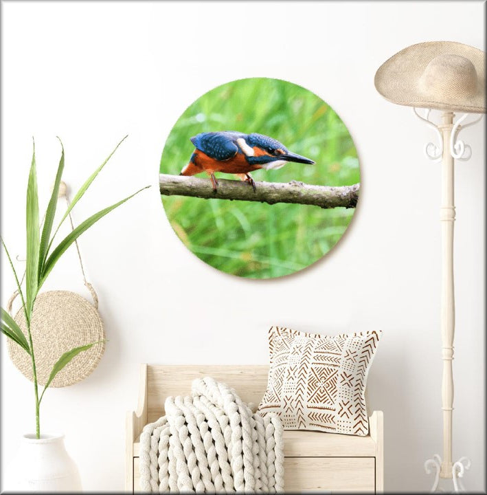 Design your own Round Circle forex foam board prints wildlife, landscape, flower, nature, art prints available Wigan greater Manchester UK.