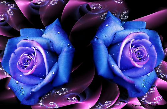 Flower Art & Photography by UK Artist & Photographer Chris Beever 10