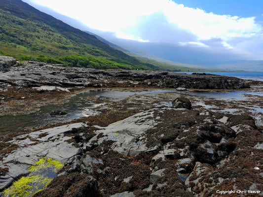Loch na Keal Isle of Mull Scotland Landscape Art by Chris Beever 10