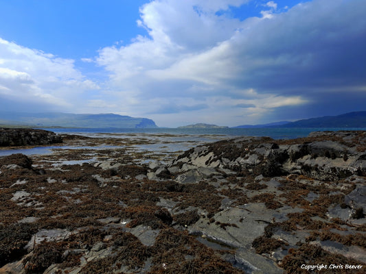 Loch na Keal Isle of Mull Scotland Landscape Art by Chris Beever 12