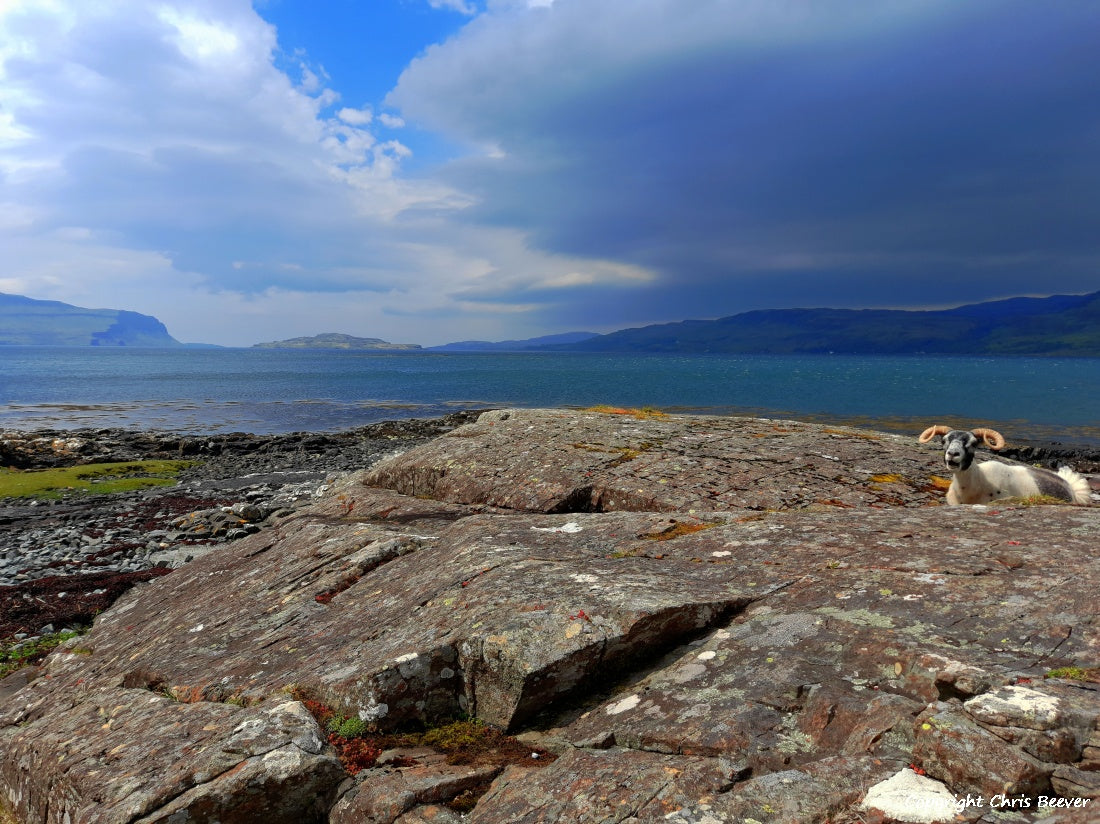 Loch na Keal Isle of Mull Scotland Landscape Art by Chris Beever 4