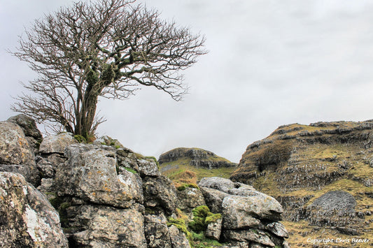 Malham Cove UK Landscape Art & Photography by Christopher Beever 1