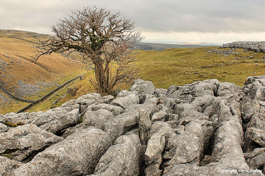 Malham Cove UK Landscape Art & Photography by Christopher Beever 21
