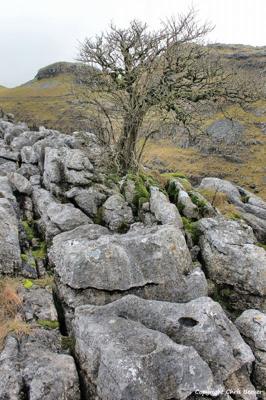 Malham Cove UK Landscape Art & Photography by Christopher Beever 2