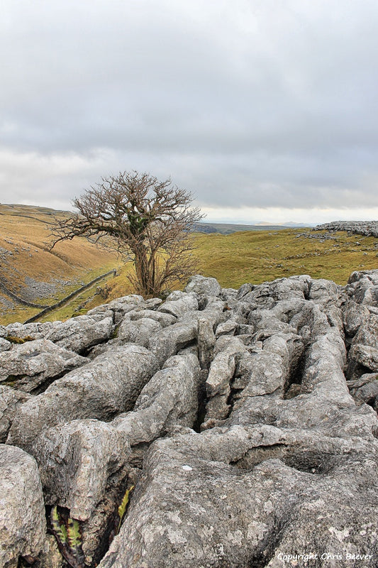 Malham Cove UK Landscape Art & Photography by Christopher Beever 3