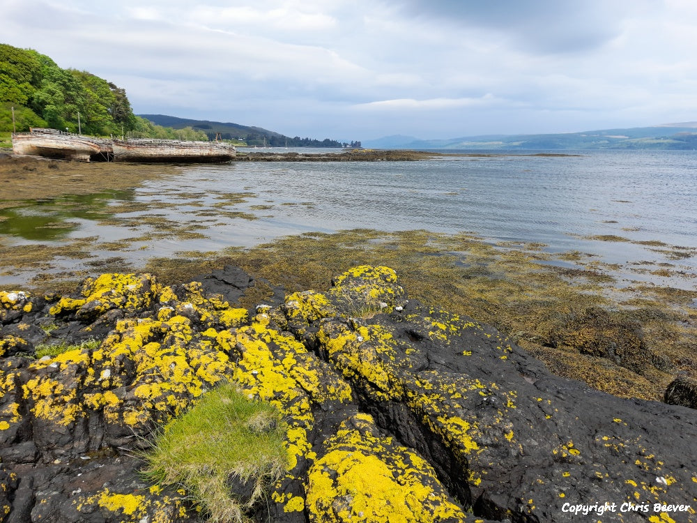 Salen Isle of Mull Scotland Landscape Art by Christopher Beever 6