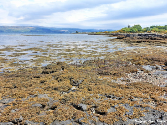 Salen Isle of Mull Scotland Landscape Art by Christopher Beever 9