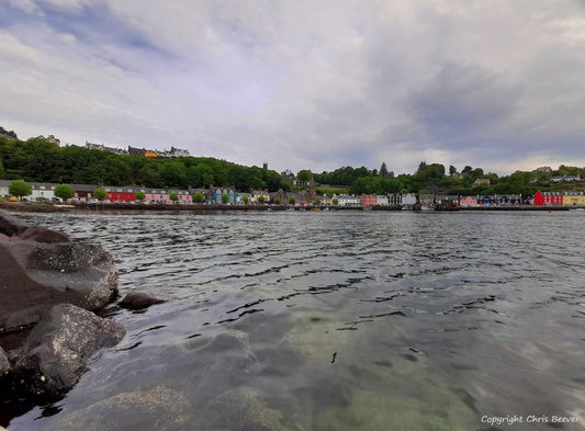 Tobermory & Lighthouse Isle of Mull Landscape Art by Chris Beever 36