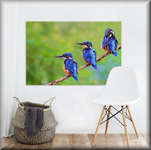 Wildlife, Nature, Art & photography By wigan uk wildlife artist and photographer Christopher Beever. 