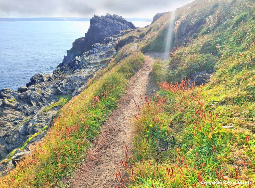 Newquay Cornwall UK Landscape Art & Photography by Chris Beever 29