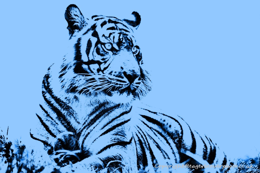 World Wildlife Pop Art by UK Artist & Photographer Chris Beever 10