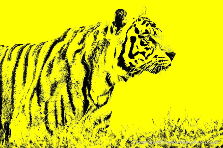 World Wildlife Pop Art by UK Artist & Photographer Chris Beever 9