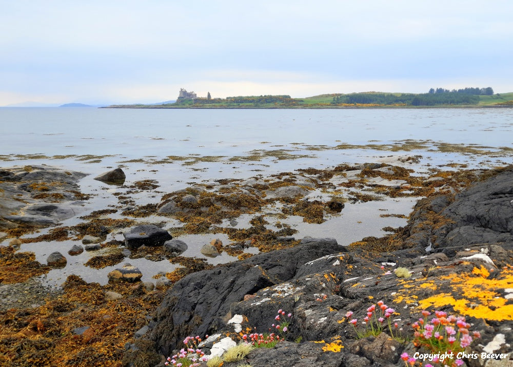 Duart Bay and Castle Isle of Mull Scotland UK Landscape wall art and home office décor by Wigan UK Landscape Artist and Photographer Christopher Beever Available as a S to XXXL Canvas, poster, aluminium, wooden, Acrylic, framed, print, wall art, Cushion, sofa throw, blanket and more in the Eager Beever Printing Shop. 