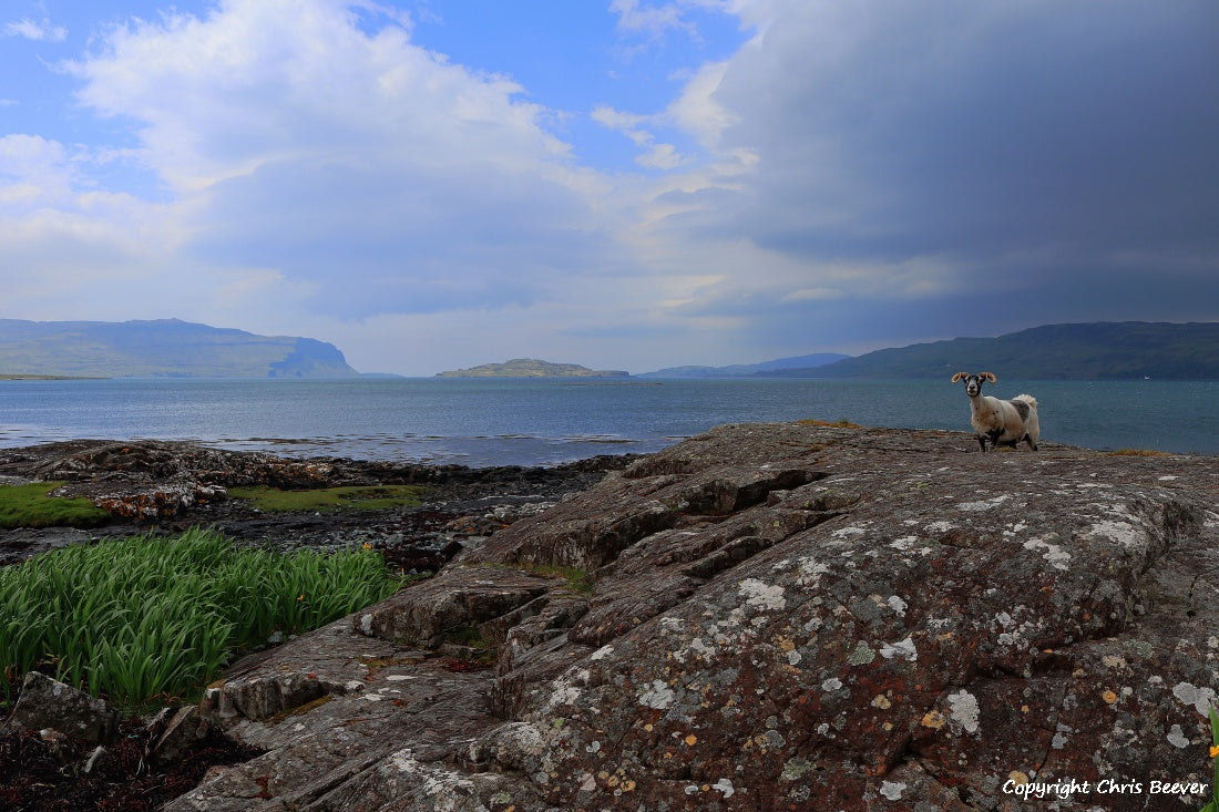 Loch na Keal Isle of Mull Scotland UK Landscape wall art and home office décor by Wigan UK Landscape Artist and Photographer Christopher Beever Available as a S to XXXL Canvas, poster, aluminium, wooden, Acrylic, framed, print and other wall art or as a Cushion, sofa throw or blanket in the Eager Beever Printing Shop. 