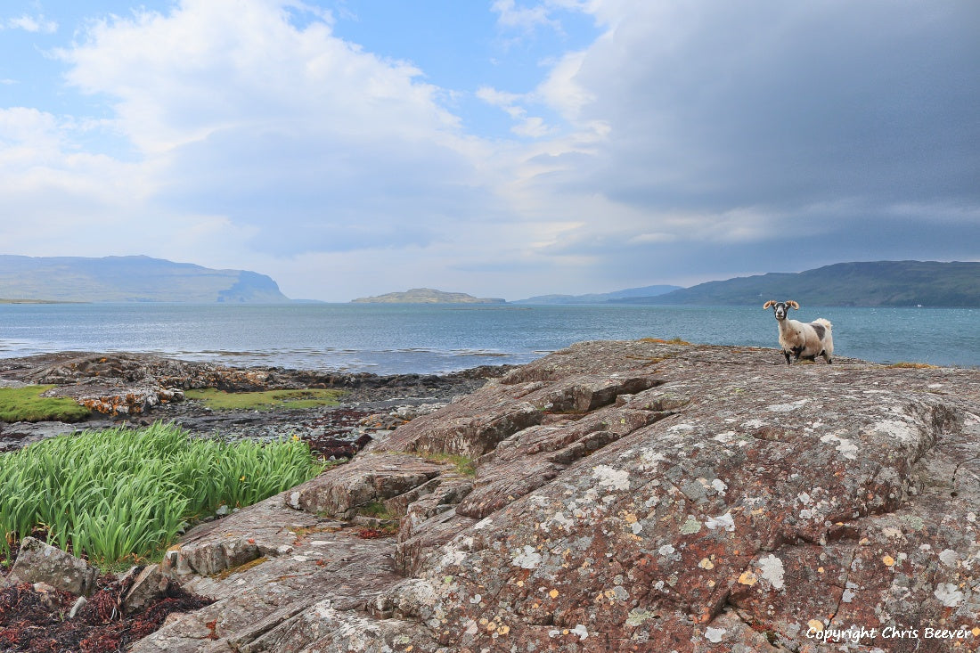 Loch na Keal Isle of Mull Scotland UK Landscape wall art and home office décor by Wigan UK Landscape Artist and Photographer Christopher Beever Available as a S to XXXL Canvas, poster, aluminium, wooden, Acrylic, framed, print and other wall art or as a Cushion, sofa throw or blanket in the Eager Beever Printing Shop. 