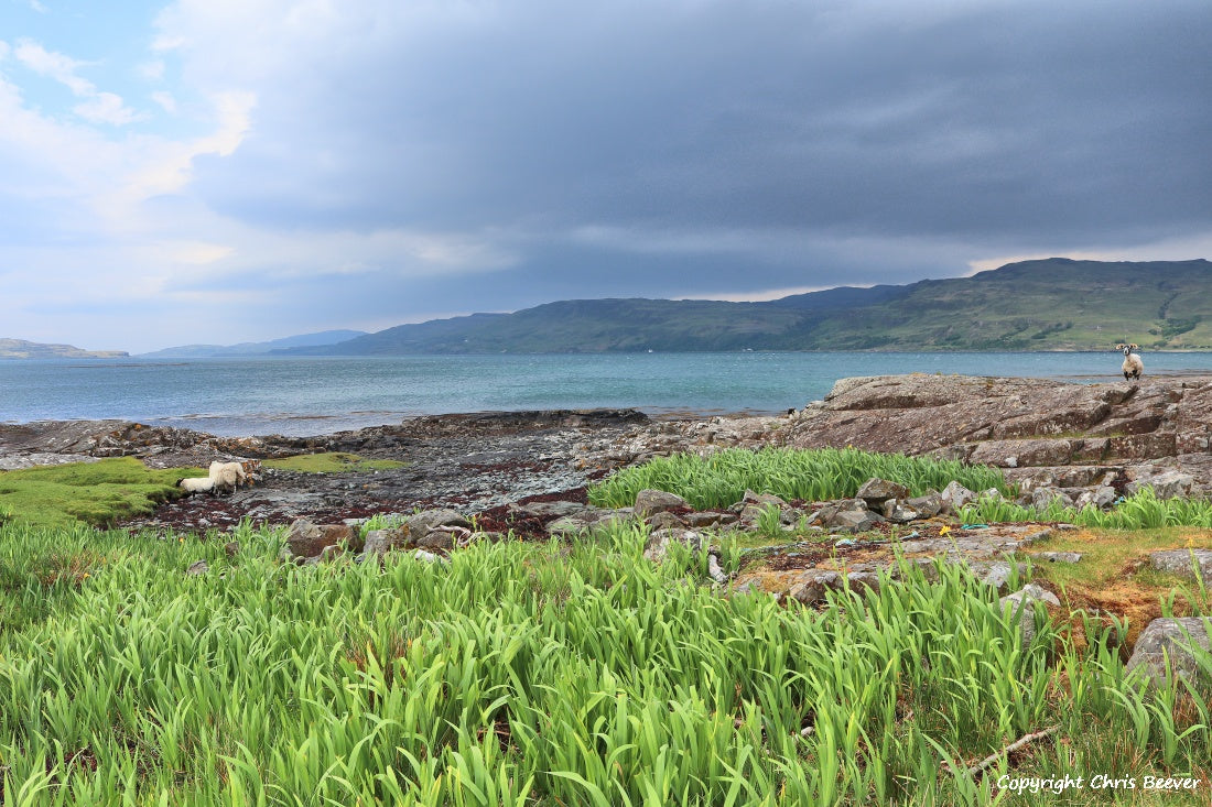 Loch na Keal Isle of Mull Scotland UK Landscape wall art and home office décor by Wigan UK Landscape Artist and Photographer Christopher Beever Available as a S to XXXL Canvas, poster, aluminium, wooden, Acrylic, framed, print and other wall art or as a Cushion, sofa throw or blanket in the Eager Beever Printing Shop. 