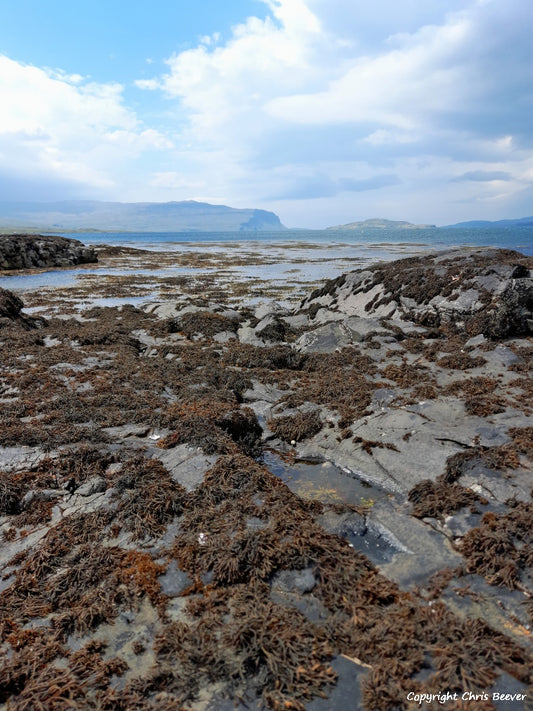 Loch na Keal Isle of Mull Scotland UK Landscape wall art and home office décor by Wigan UK Landscape Artist and Photographer Christopher Beever Available as a S to XXXL Canvas, poster, aluminium, wooden, Acrylic, framed, print and other wall art or as a Cushion, sofa throw or blanket in the Eager Beever Printing Shop. 