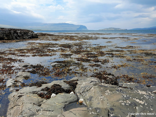 Loch na Keal Isle of Mull Scotland UK Landscape wall art and home office décor by Wigan UK Landscape Artist and Photographer Christopher Beever Available as a S to XXXL Canvas, poster, aluminium, wooden, Acrylic, framed, print and other wall art or as a Cushion, sofa throw or blanket in the Eager Beever Printing Shop. 