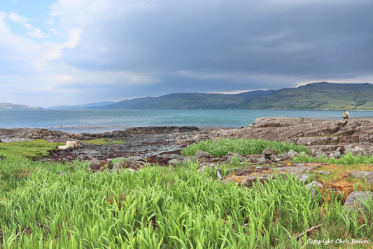 Loch na Keal Isle of Mull Scotland UK Landscape wall art and home office décor by Wigan UK Landscape Artist and Photographer Christopher Beever Available as a S to XXXL Canvas, poster, aluminium, wooden, Acrylic, framed, print and other wall art or as a Cushion, sofa throw or blanket in the Eager Beever Printing Shop. 